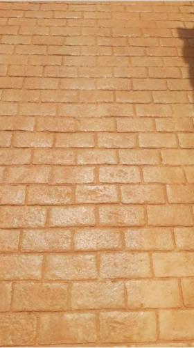 WhatsApp Image 2023-08-10 at 15.25.51