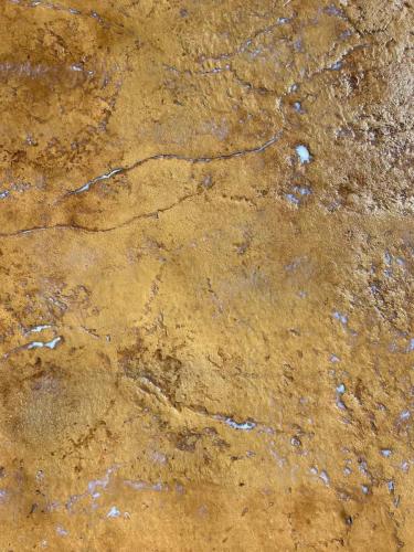 WhatsApp Image 2023-08-10 at 15.26.00 (5)