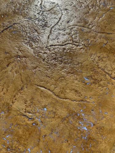 WhatsApp Image 2023-08-10 at 15.26.01